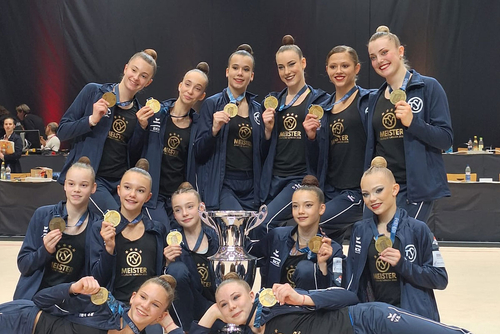 Image for Dritter Titel in Serie – TSV Schmiden gewinnt DTL-Finale